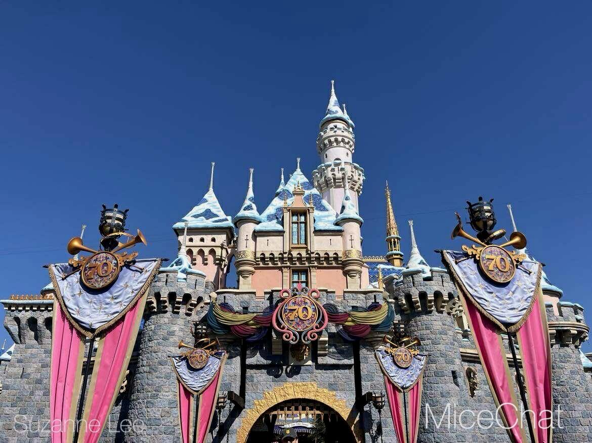 , DISNEYLAND UPDATE: Halloween&rsquo;s Last Hurrah, Holiday Sneak Peek & Refurb Rush!