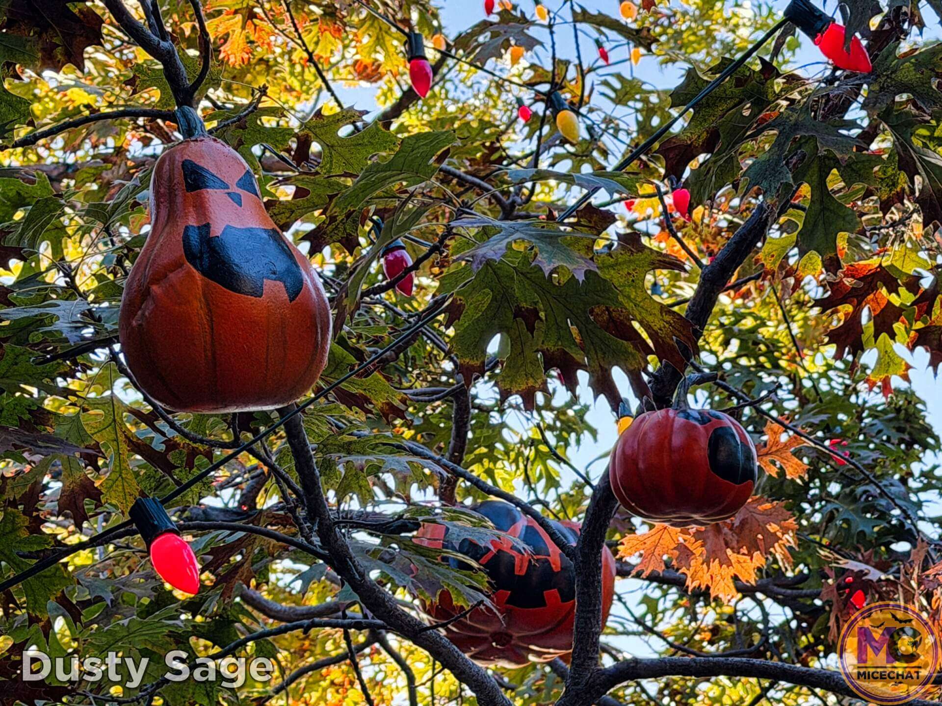 , DISNEYLAND UPDATE: Tangled Rise, Eye in the Sky & Prices Go High!
