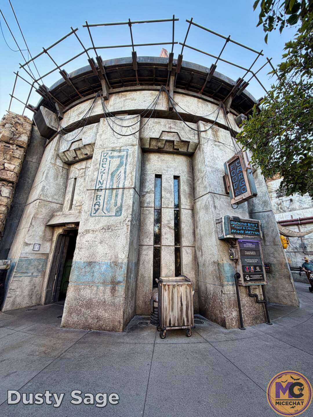 , DISNEYLAND UPDATE: Tangled Rise, Eye in the Sky & Prices Go High!