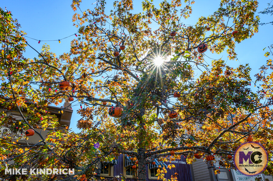 , DISNEYLAND UPDATE: The Nightmare Before Christmas, Refurbs Wrap & Pricing Paradox