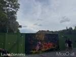 WDW-DAK-Construction-5