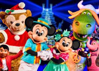 UPDATED! Your 2025 WDW Holiday Guide