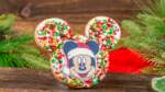 2025-DLR-Holiday-Foodie-Guide-Mickey-Cookie