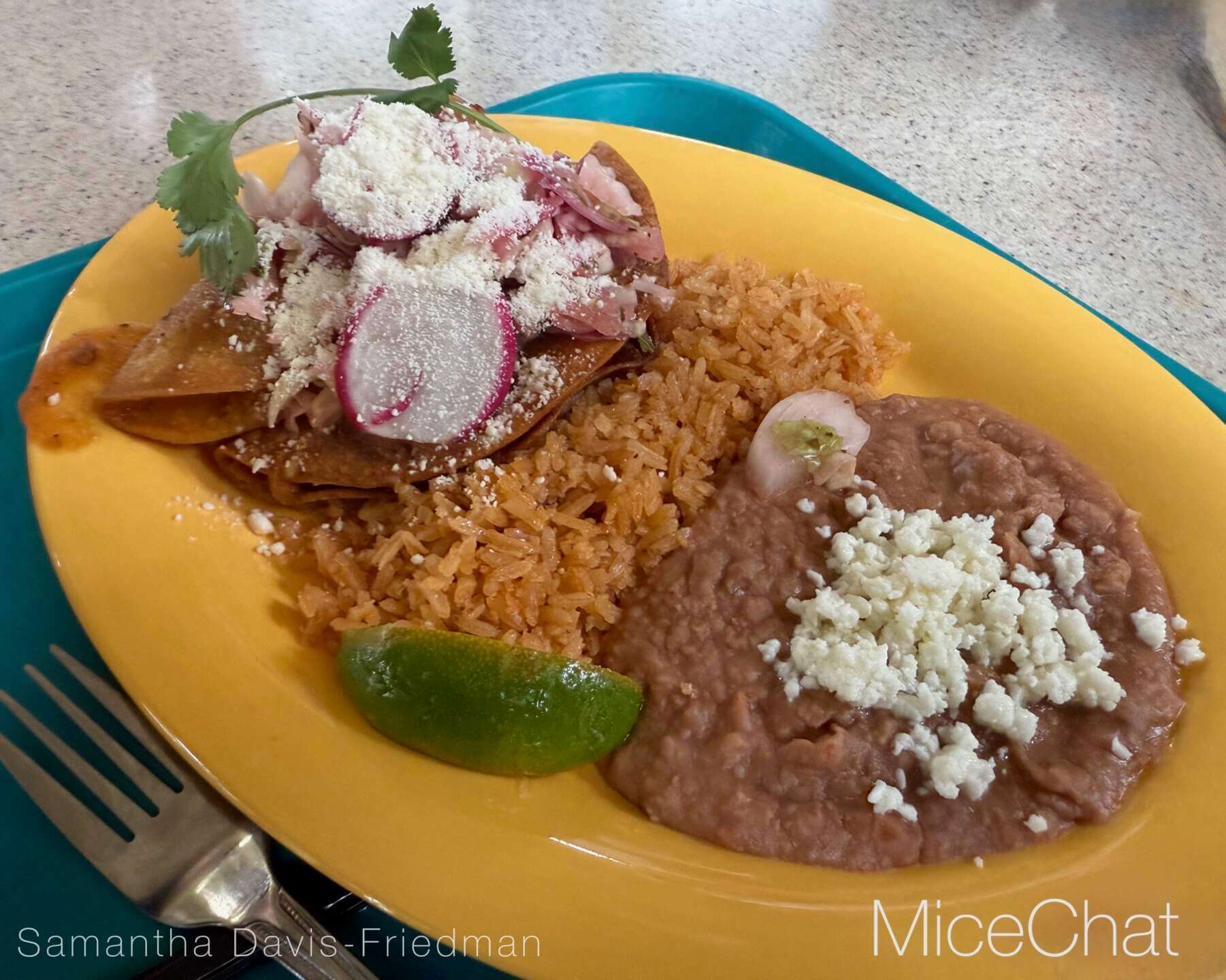 , DISNEYLAND UPDATE: Wet Weather, Holiday Lights & Leadership Fights