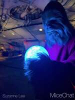 DLR-Chewbacca-Life-Day-1
