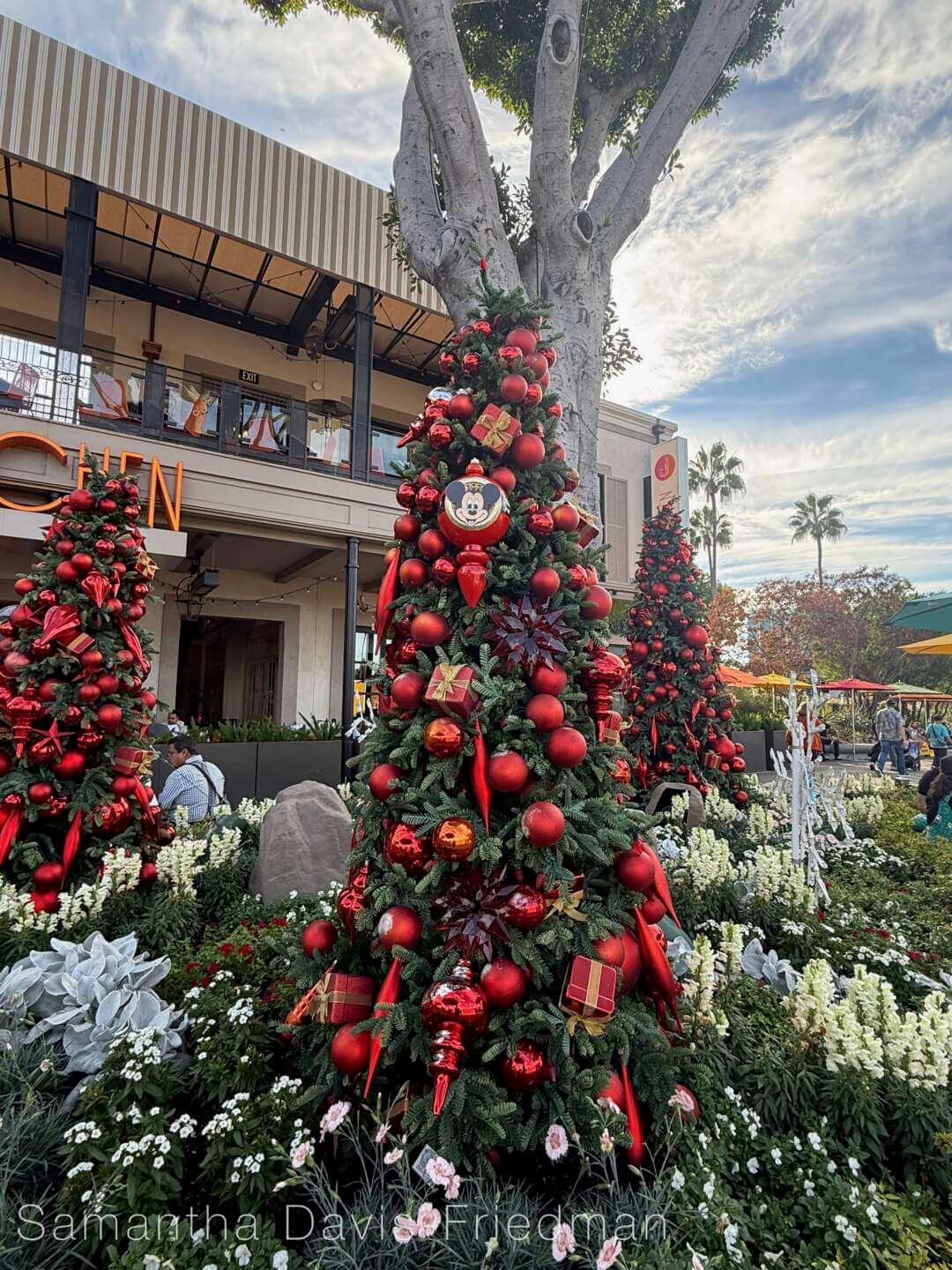 , DISNEYLAND UPDATE: Candlelight Time, Avatar Takeover Looms & Meet Your Robot Overlords
