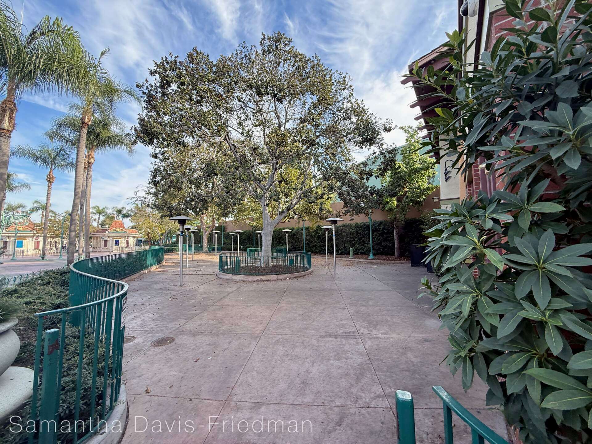 , DISNEYLAND UPDATE: Candlelight Time, Avatar Takeover Looms & Meet Your Robot Overlords