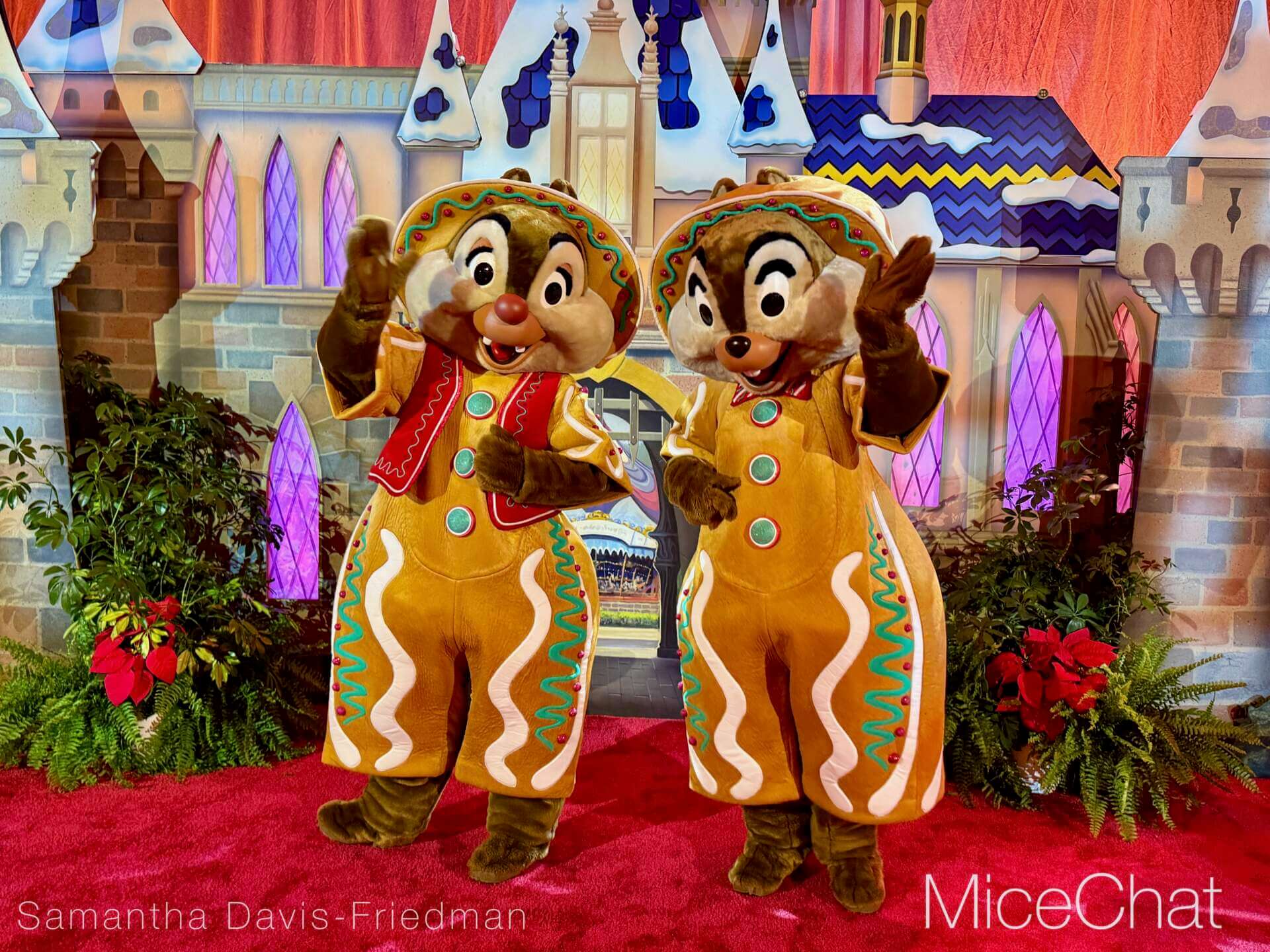 , DISNEYLAND UPDATE: Wet Weather, Holiday Lights & Leadership Fights