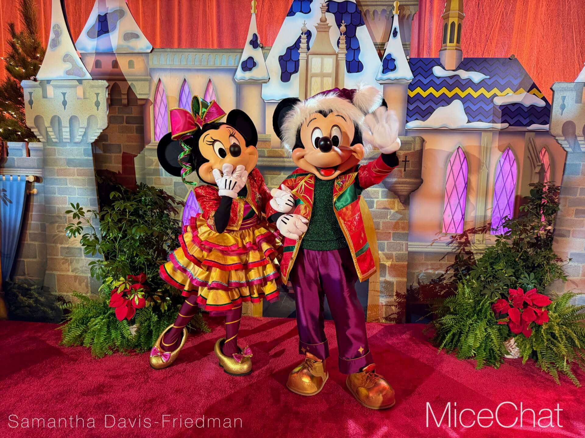, DISNEYLAND UPDATE: Wet Weather, Holiday Lights & Leadership Fights