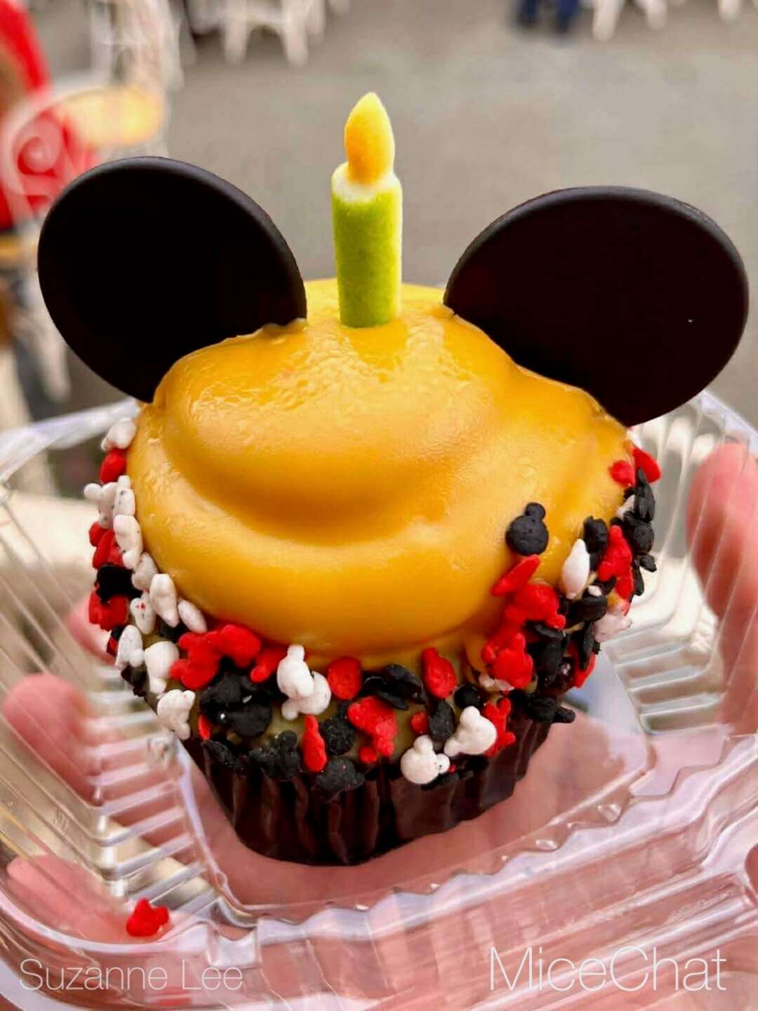 , DISNEYLAND UPDATE: Holiday Highs and Lows, Pricing Woes & a Trash-Talking Tree