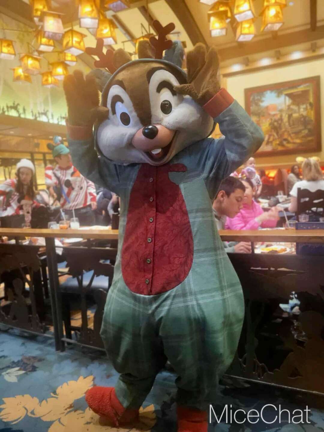 , DISNEYLAND UPDATE: Holiday Highs and Lows, Pricing Woes & a Trash-Talking Tree