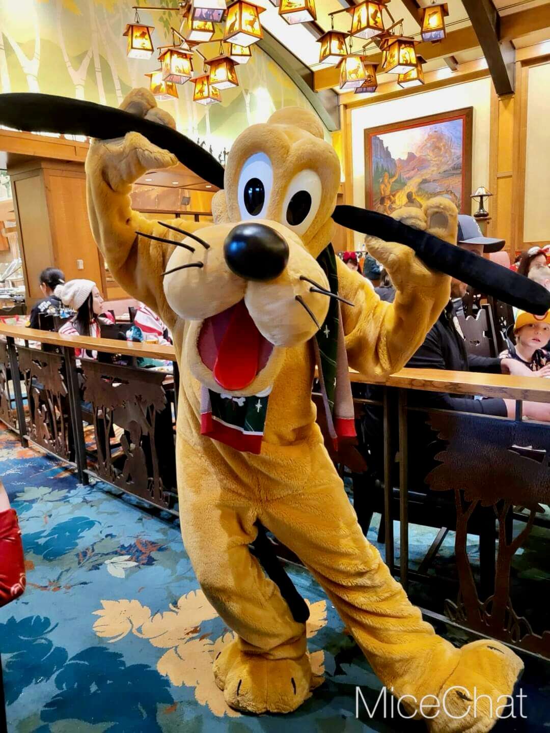 , DISNEYLAND UPDATE: Holiday Highs and Lows, Pricing Woes & a Trash-Talking Tree