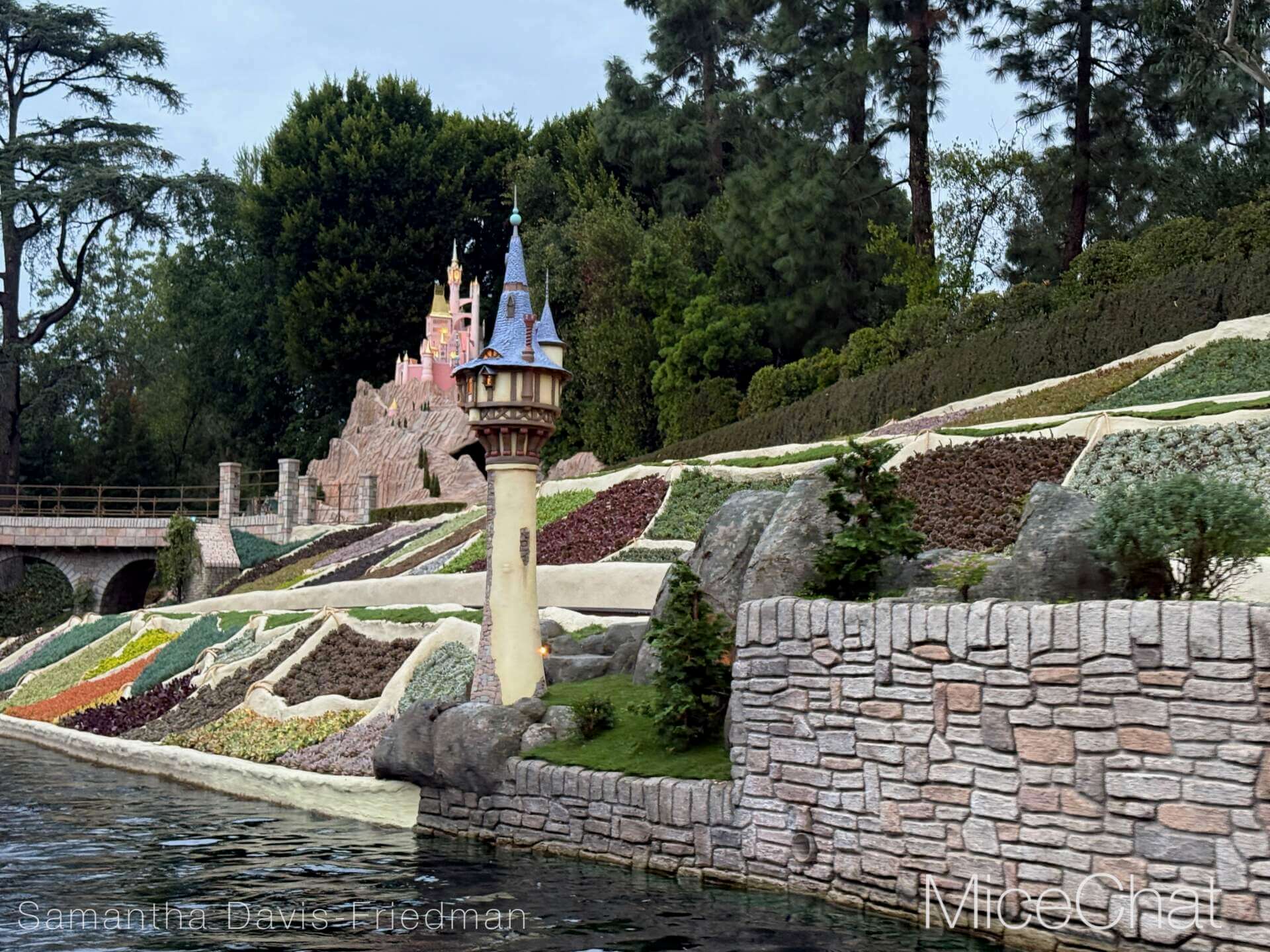 , DISNEYLAND UPDATE: Wet Weather, Holiday Lights & Leadership Fights