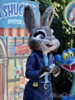 DLR-Zootopia-Judy