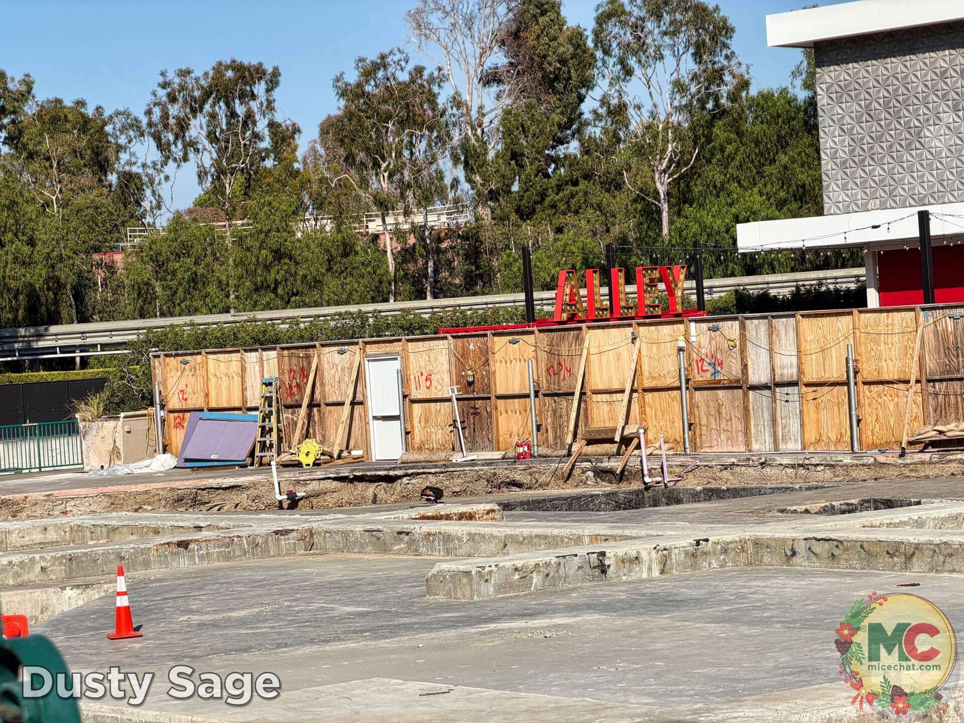 , DISNEYLAND UPDATE: Christmas Shines, Magic Key Shakeup & Suite Surprises