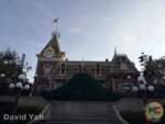 Disneyland Candlelight Prep tree MiceChat