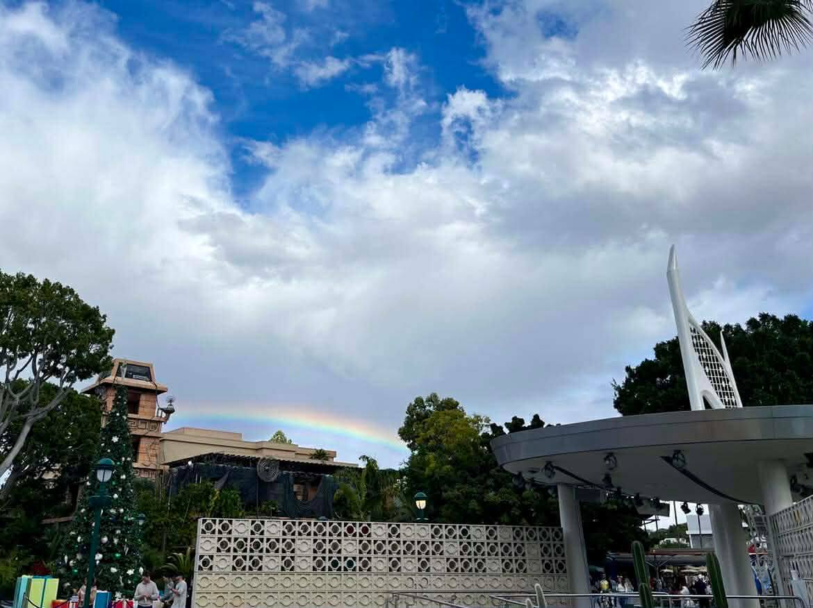 , DISNEYLAND UPDATE: Holiday Highs and Lows, Pricing Woes & a Trash-Talking Tree