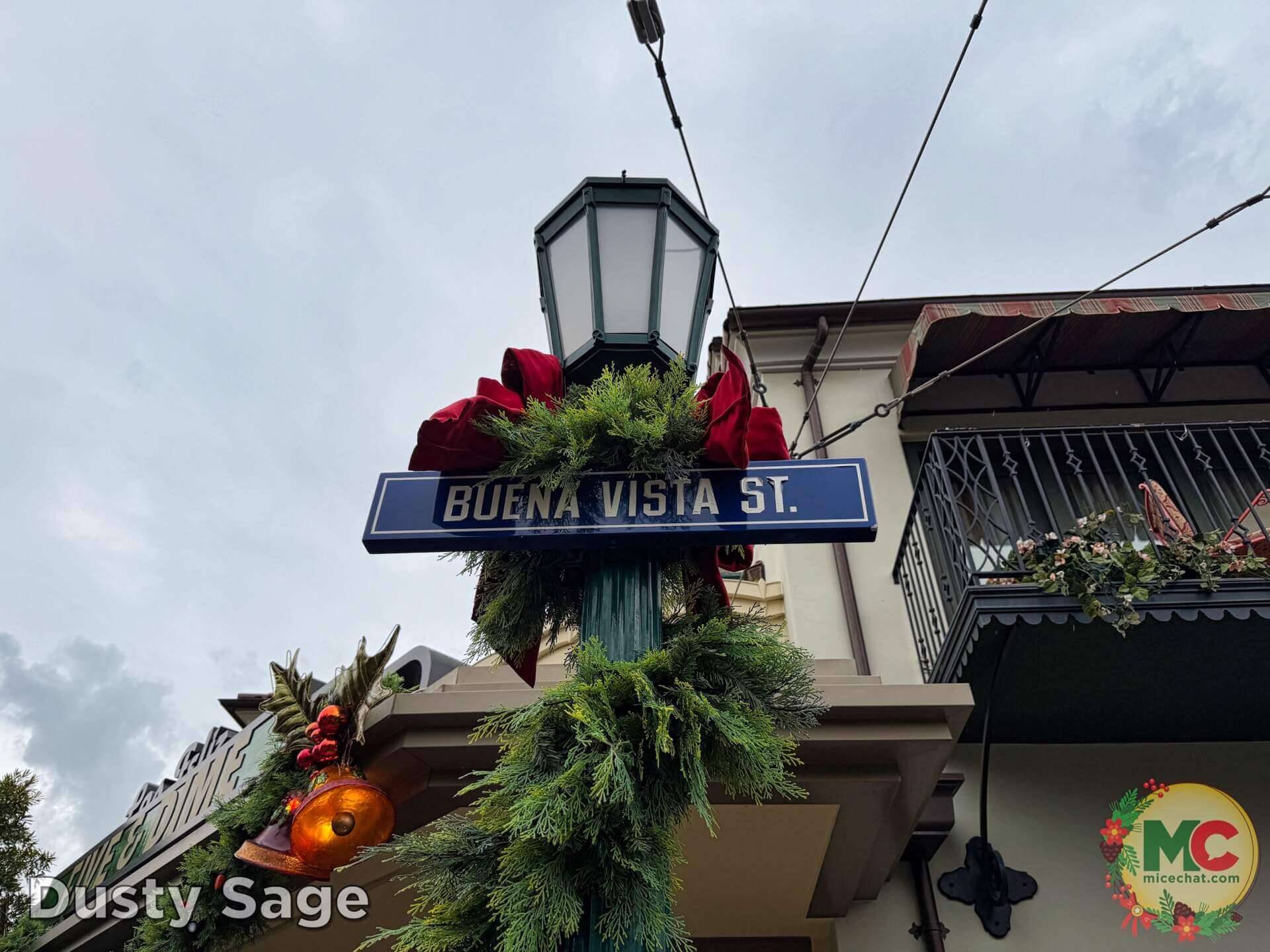 , DISNEYLAND UPDATE: Holiday Highs and Lows, Pricing Woes & a Trash-Talking Tree