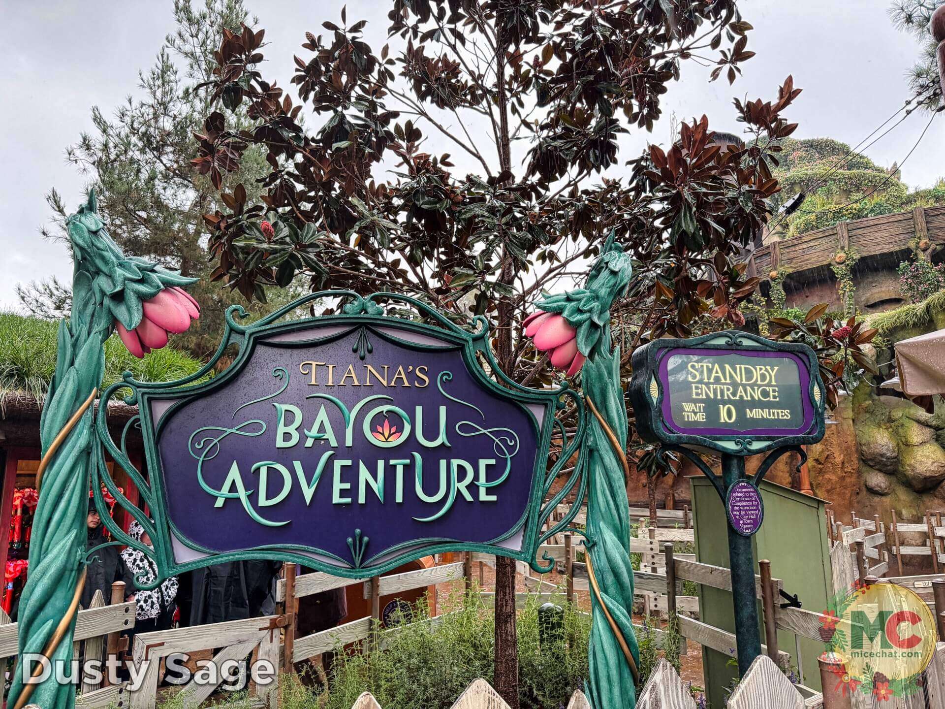 , DISNEYLAND UPDATE: Holiday Highs and Lows, Pricing Woes & a Trash-Talking Tree