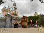 Disneyland beauty castle owl MiceChat