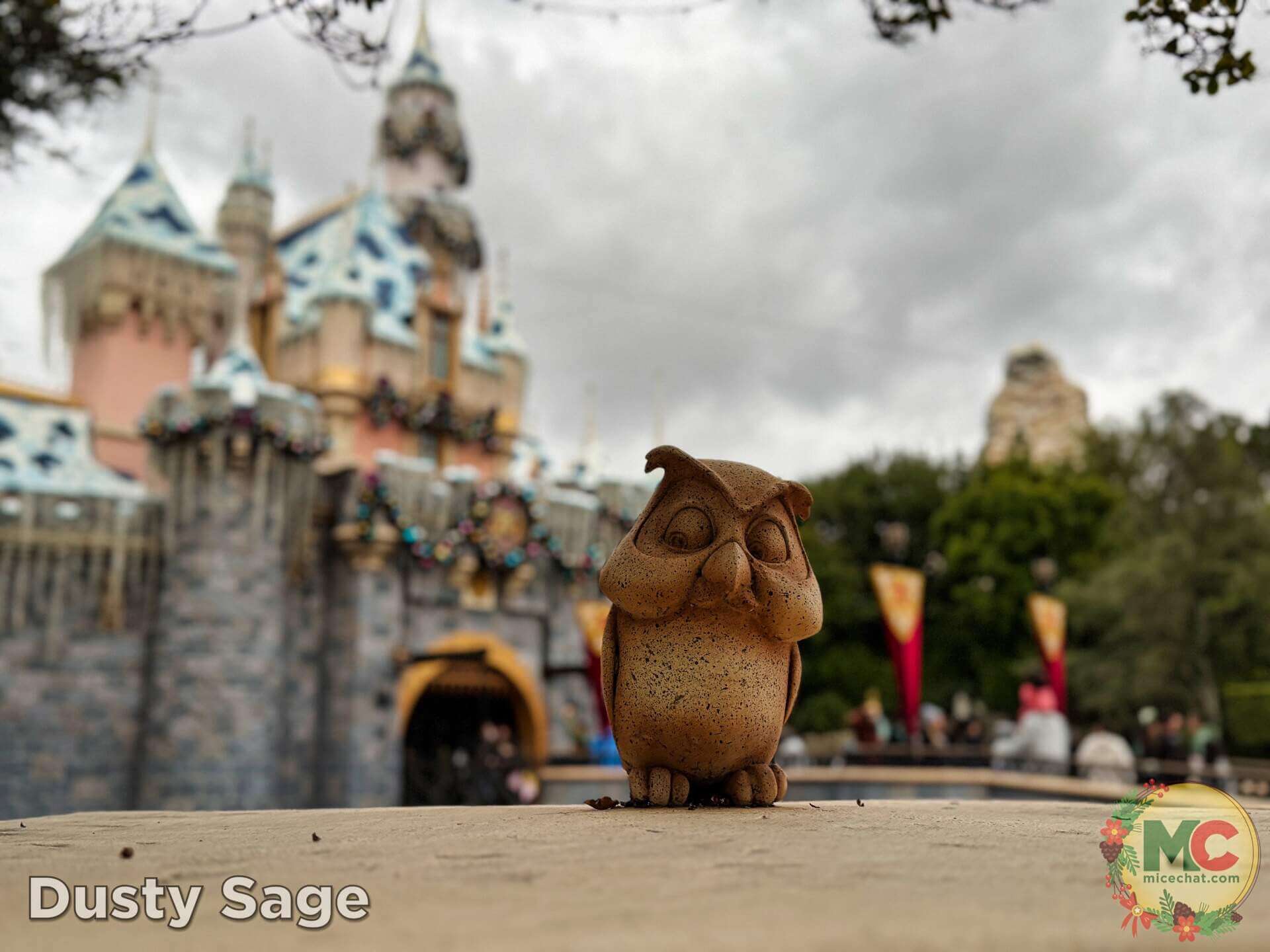 DISNEYLAND UPDATE: Holiday Highs and Lows, Pricing Woes & a Trash