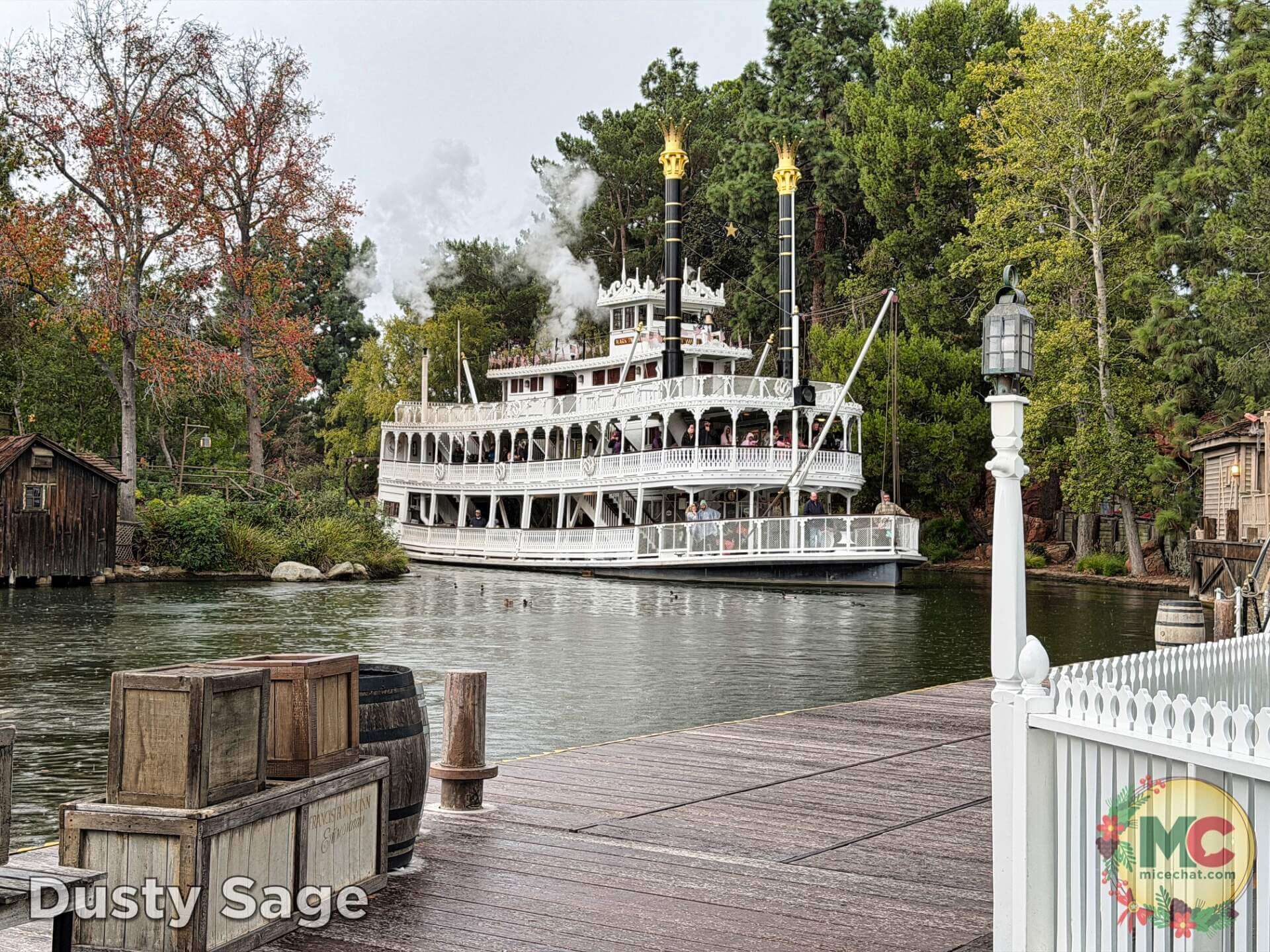 , DISNEYLAND UPDATE: Candlelight Time, Avatar Takeover Looms & Meet Your Robot Overlords