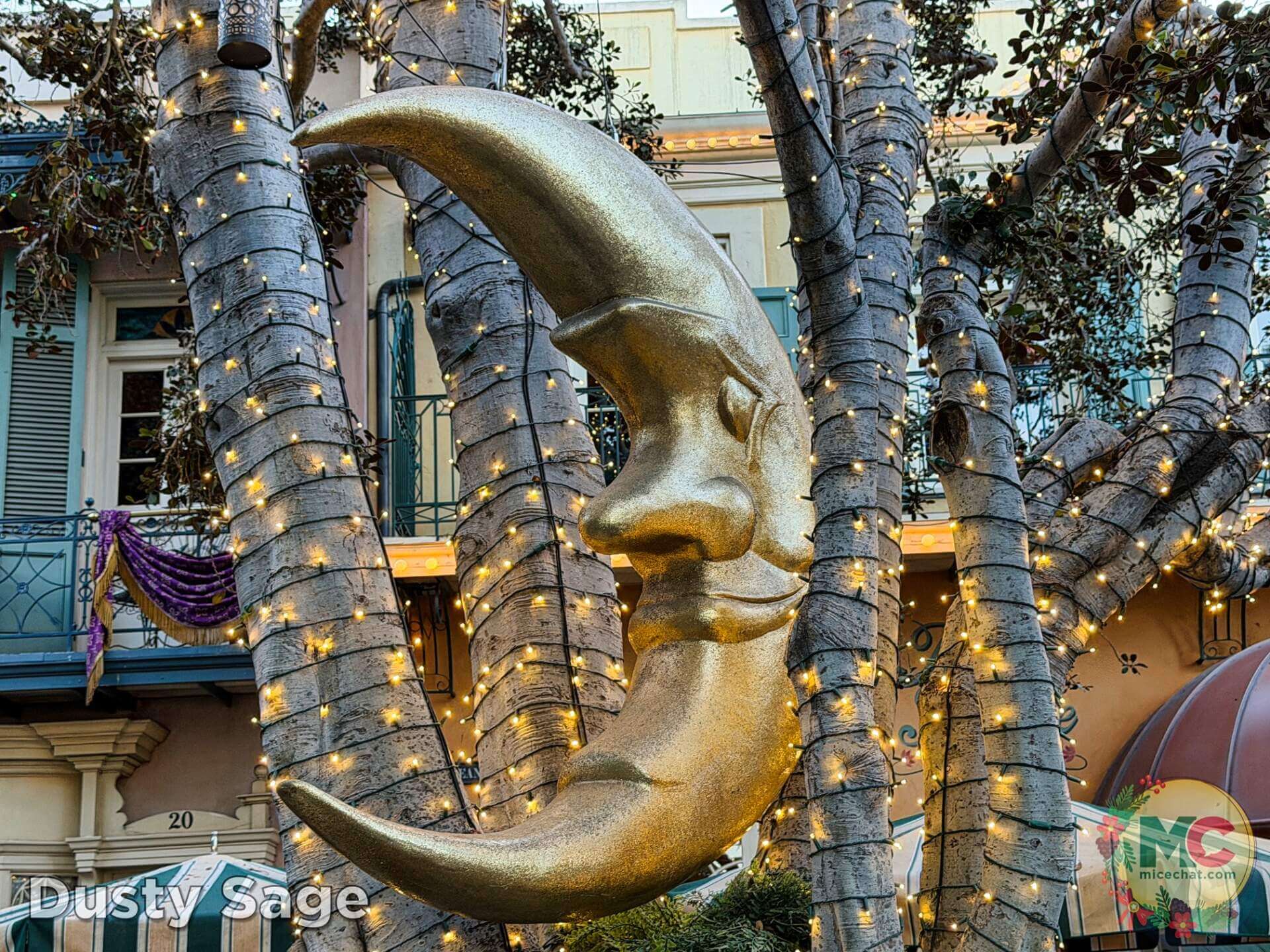 , DISNEYLAND UPDATE: Christmas Crunch, Porto&rsquo;s Push & World of Color Conundrum