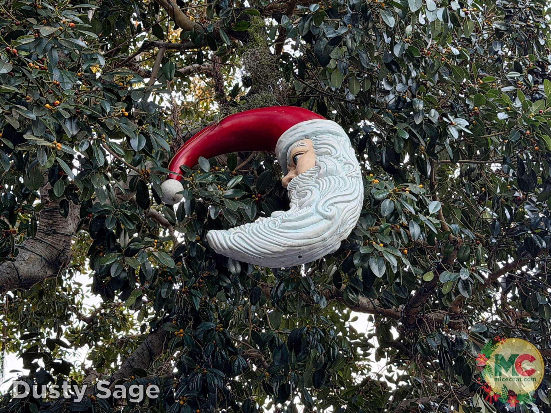, DISNEYLAND UPDATE: Christmas Crunch, Porto&rsquo;s Push & World of Color Conundrum