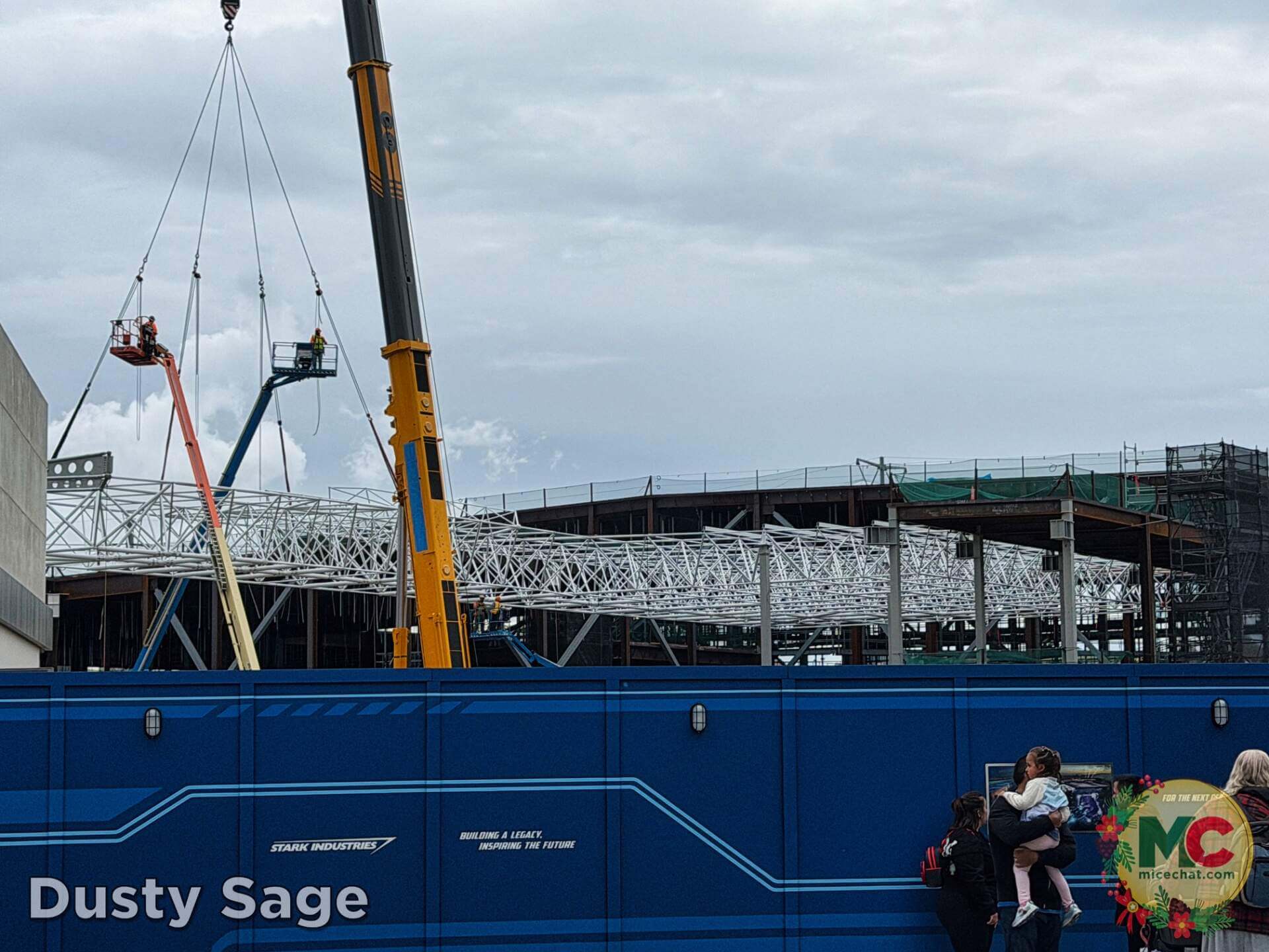 , DISNEYLAND UPDATE: Holiday Highs and Lows, Pricing Woes & a Trash-Talking Tree
