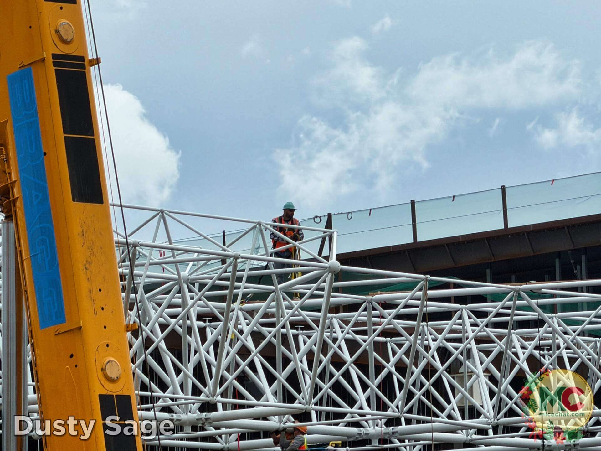 , DISNEYLAND UPDATE: Holiday Highs and Lows, Pricing Woes & a Trash-Talking Tree