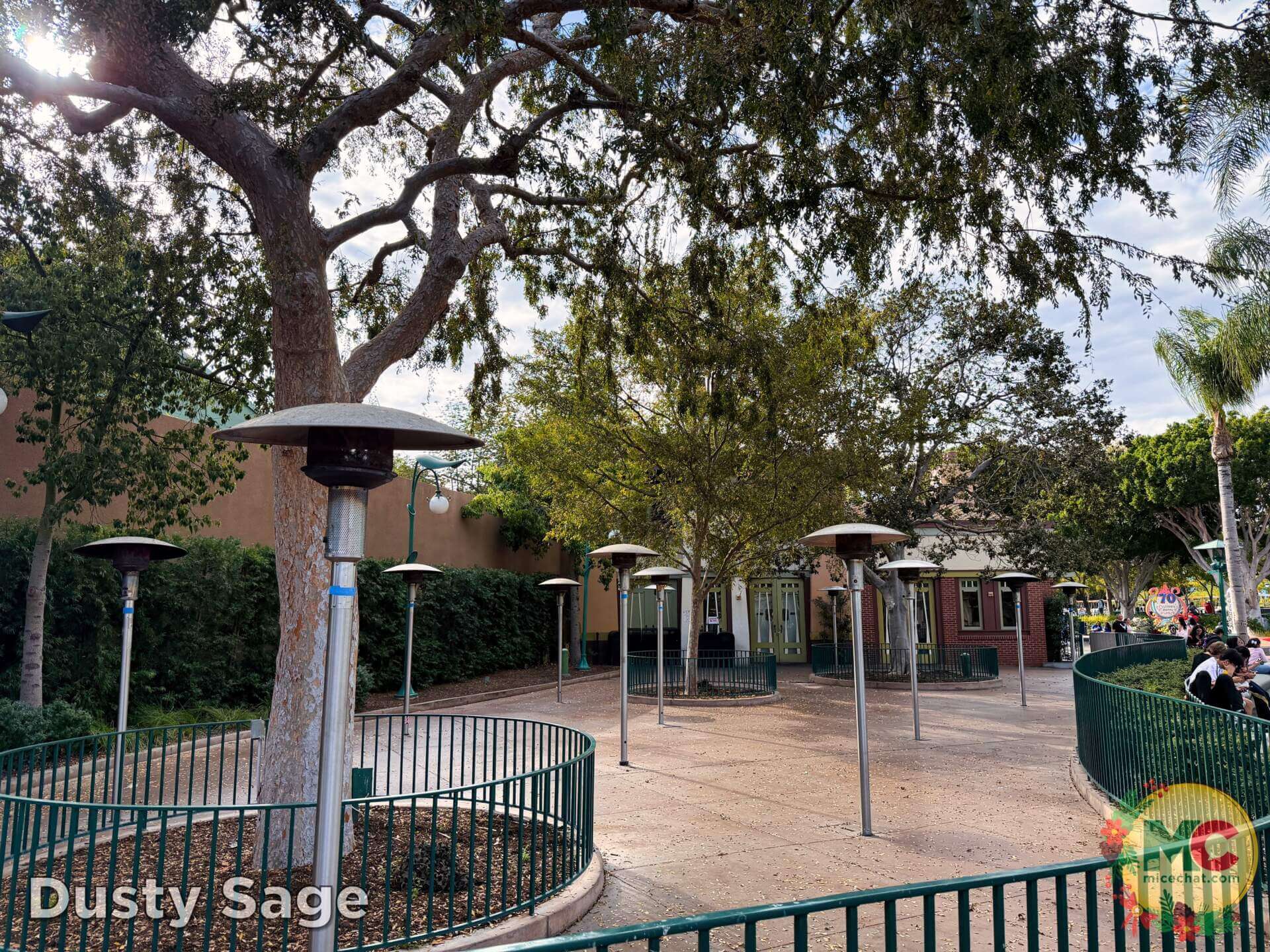 , DISNEYLAND UPDATE: Wet Weather, Holiday Lights & Leadership Fights