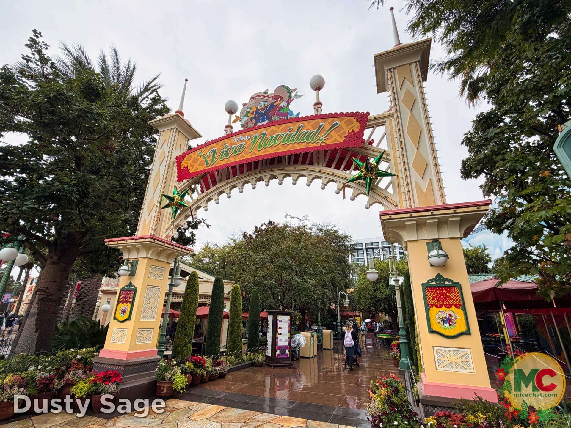 , DISNEYLAND UPDATE: Wet Weather, Holiday Lights & Leadership Fights
