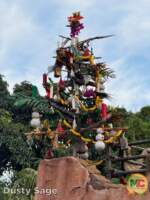 Disneyland holiday adventureland tree 1 MiceChat