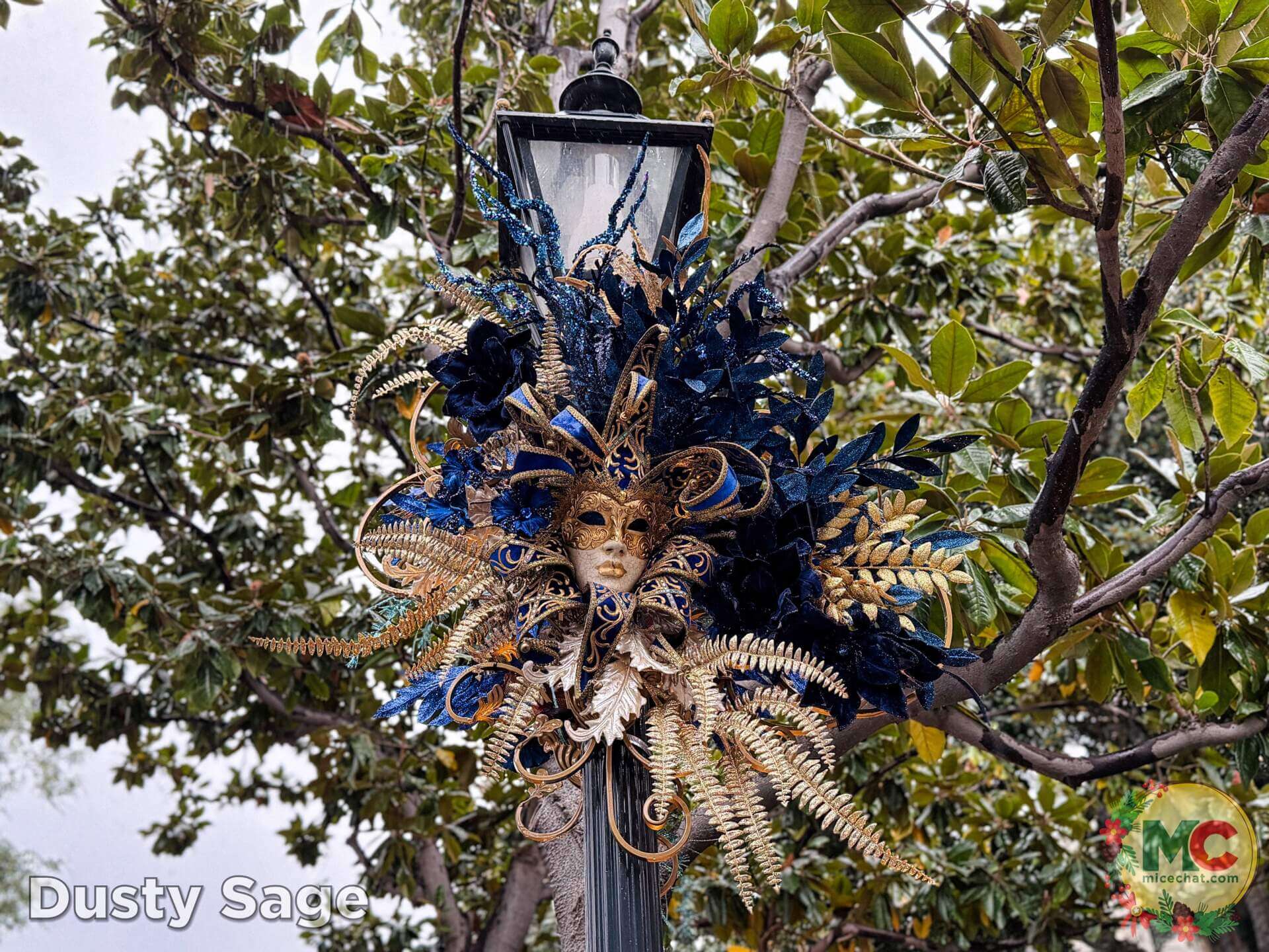 , DISNEYLAND UPDATE: Holiday Highs and Lows, Pricing Woes & a Trash-Talking Tree