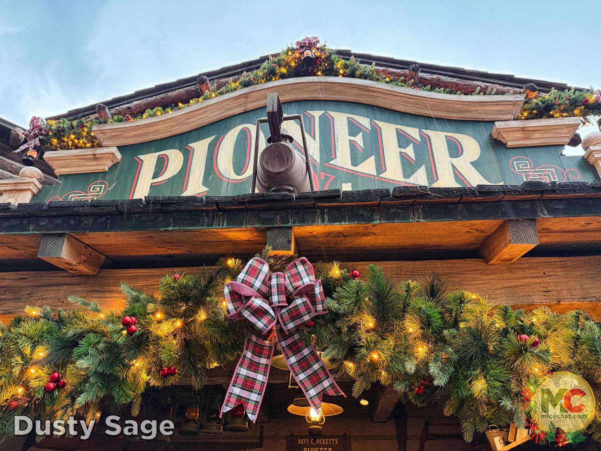 , DISNEYLAND UPDATE: Holiday Highs and Lows, Pricing Woes & a Trash-Talking Tree