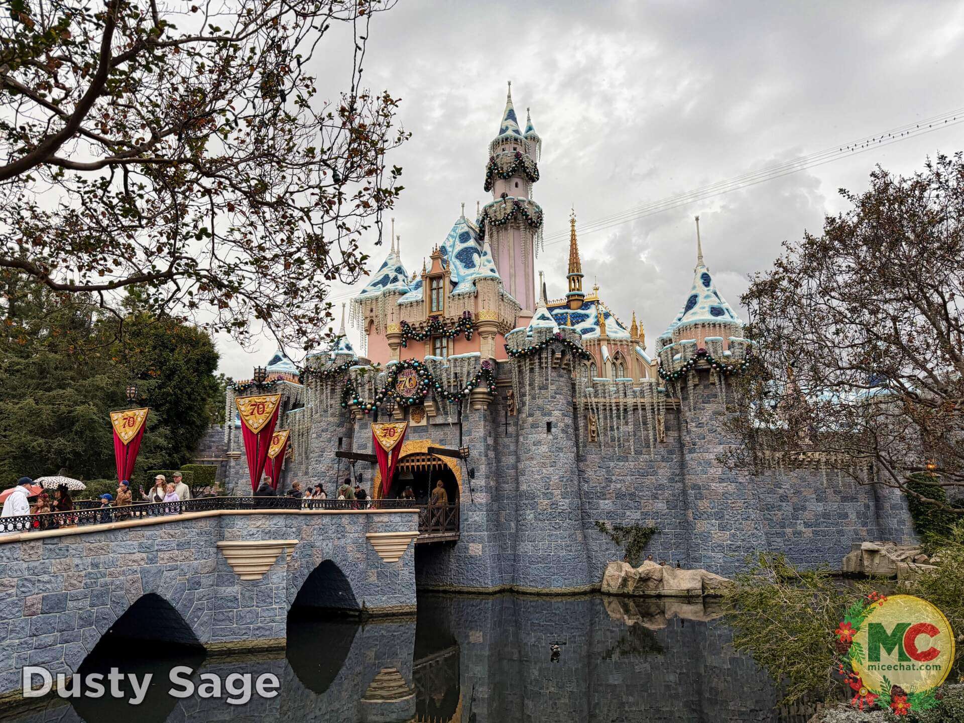 , DISNEYLAND UPDATE: Holiday Highs and Lows, Pricing Woes & a Trash-Talking Tree