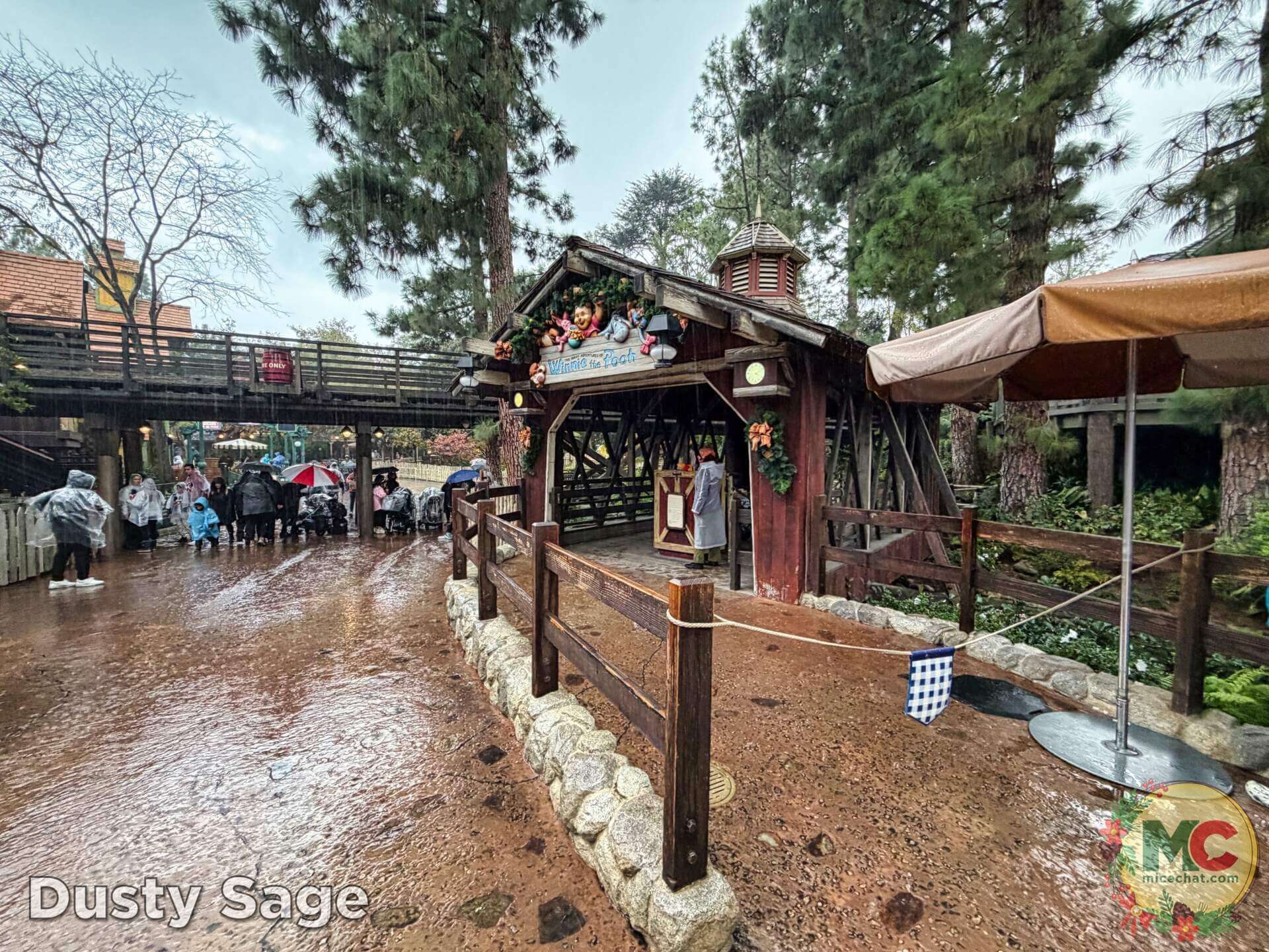 , DISNEYLAND UPDATE: Holiday Highs and Lows, Pricing Woes & a Trash-Talking Tree