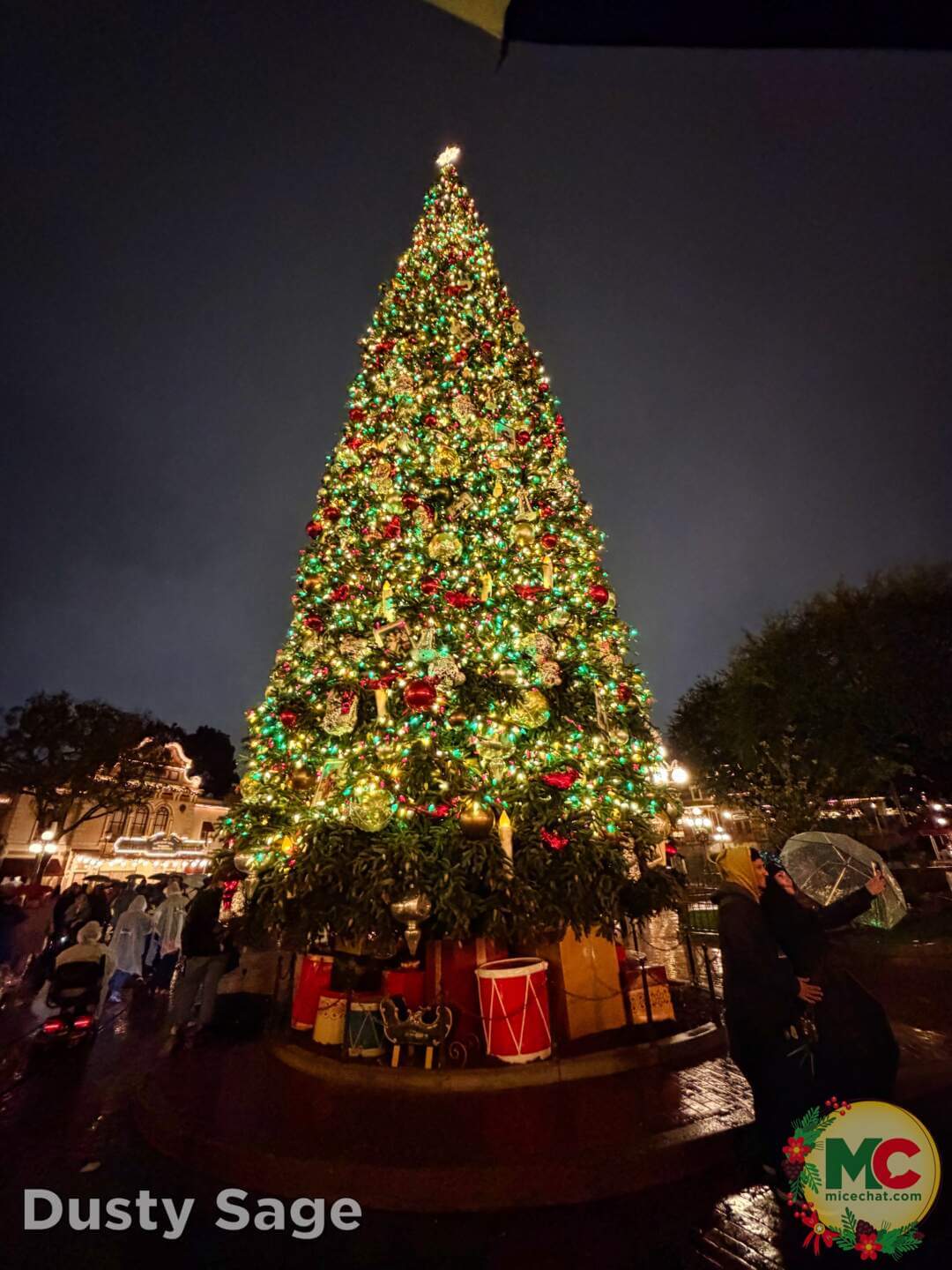 , DISNEYLAND UPDATE: Holiday Highs and Lows, Pricing Woes & a Trash-Talking Tree
