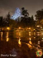 Disneyland rain matterhorn way empty MiceChat