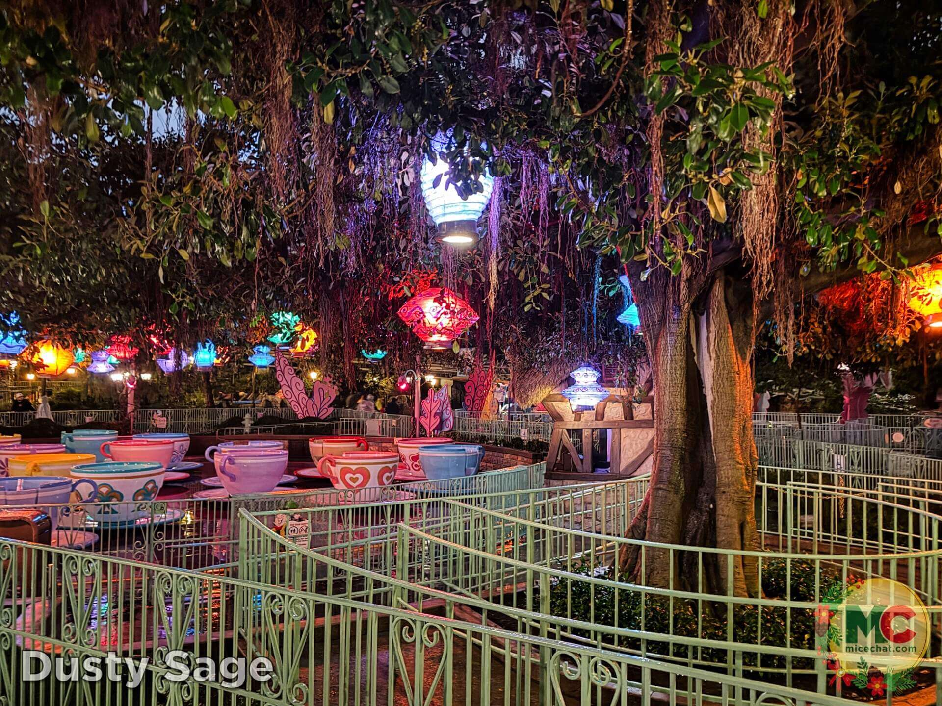 , DISNEYLAND UPDATE: Holiday Highs and Lows, Pricing Woes & a Trash-Talking Tree