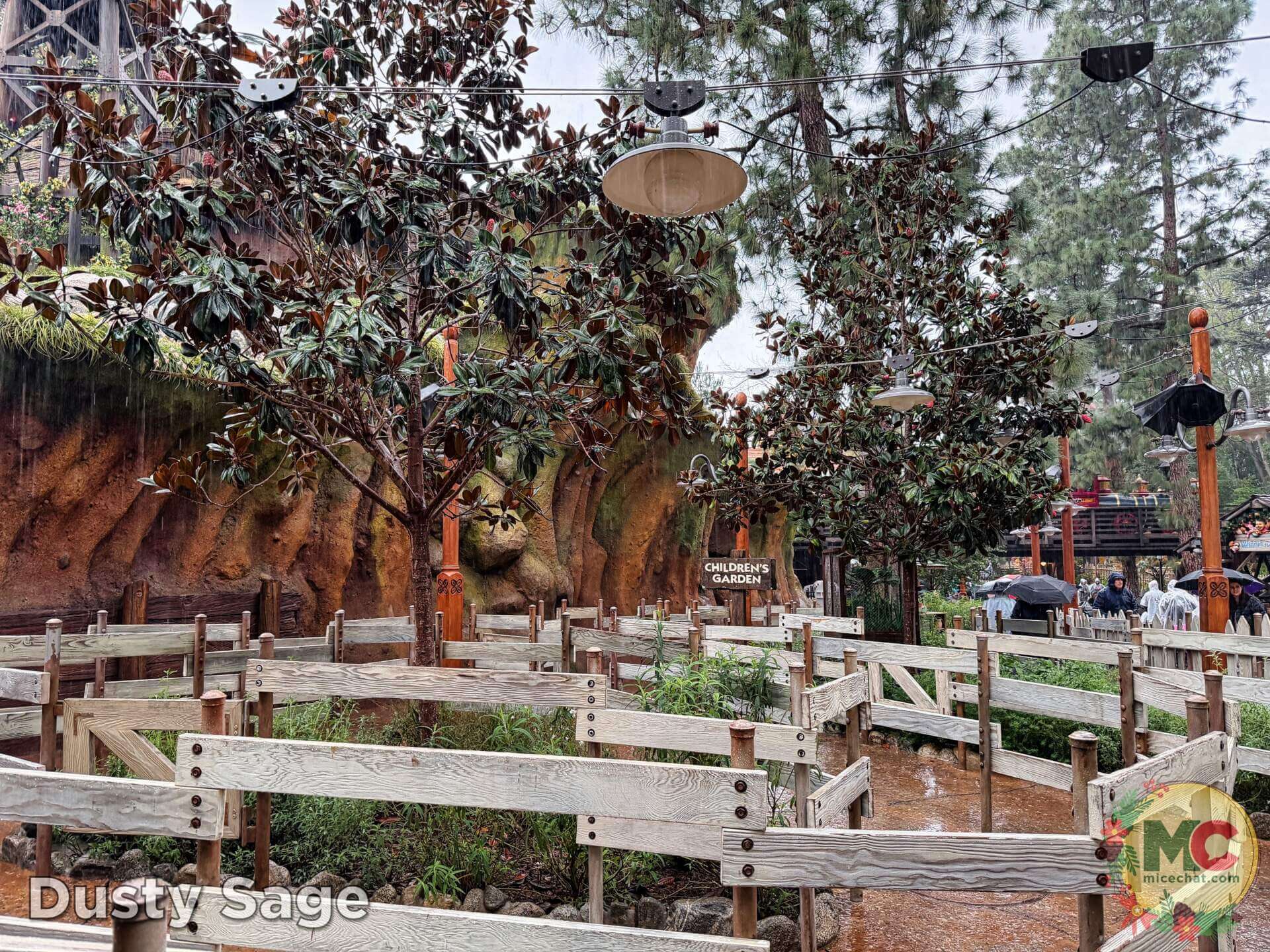 , DISNEYLAND UPDATE: Holiday Highs and Lows, Pricing Woes & a Trash-Talking Tree