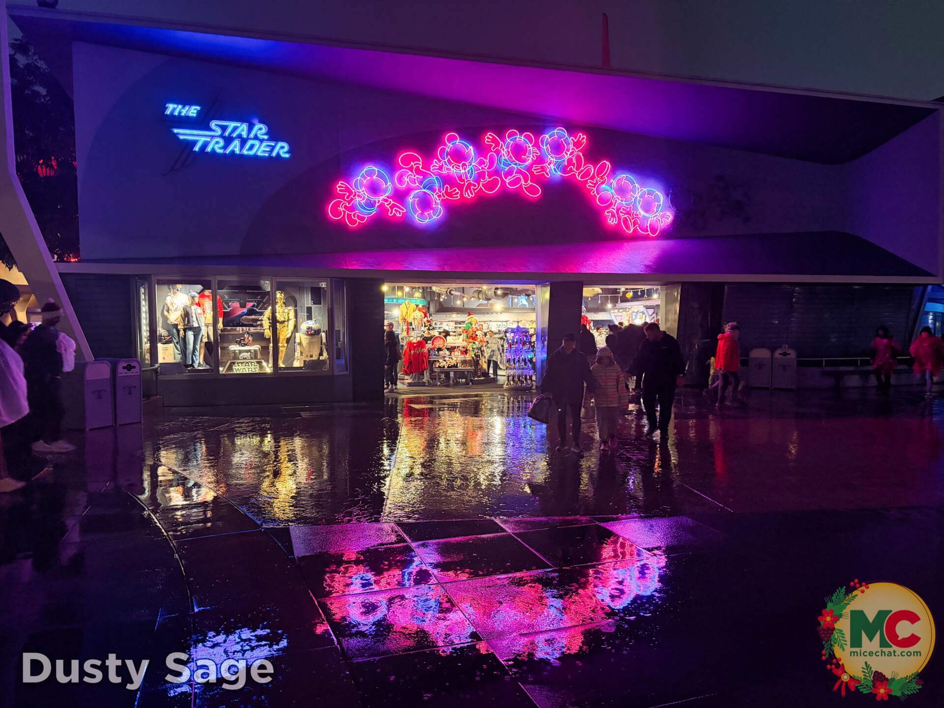 , DISNEYLAND UPDATE: Wet Weather, Holiday Lights & Leadership Fights