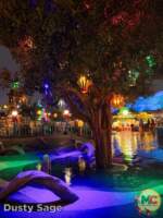 Disneyland rain toontown park MiceChat