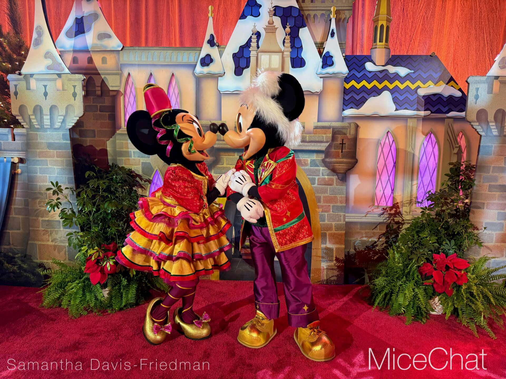 , DISNEYLAND UPDATE: Wet Weather, Holiday Lights & Leadership Fights