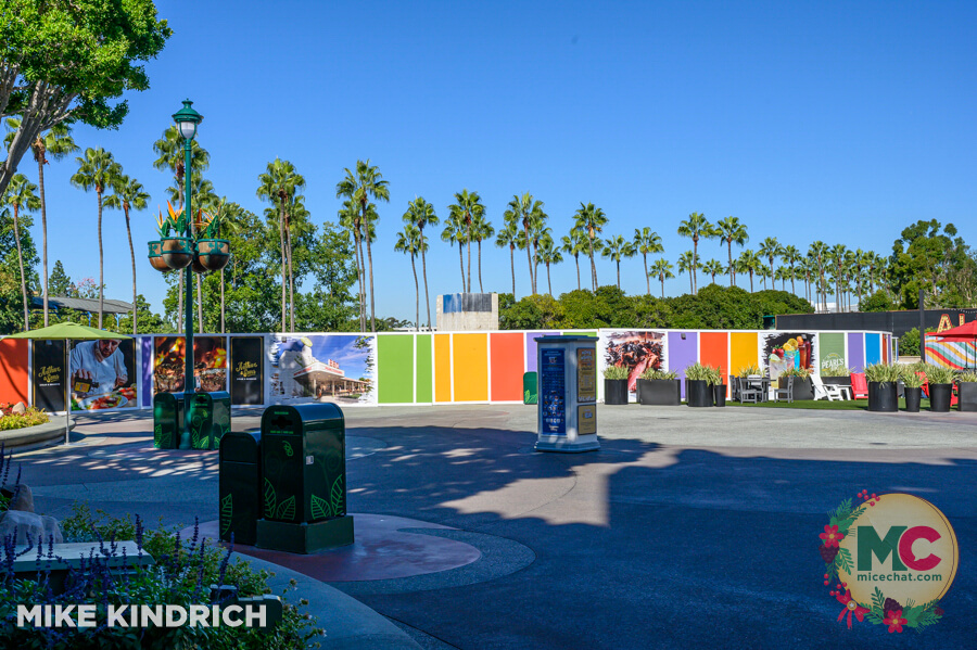 , DISNEYLAND UPDATE: Christmas Shines, Magic Key Shakeup & Suite Surprises
