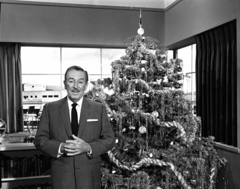 , DISNEYLAND UPDATE: Holiday Highs and Lows, Pricing Woes & a Trash-Talking Tree