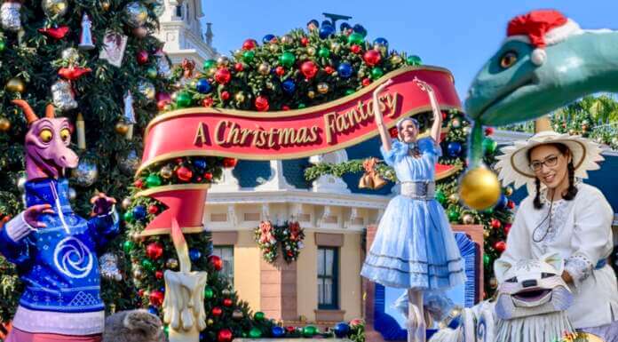 The Most Wonderful Views of the Year: Christmas in the Disney Parks