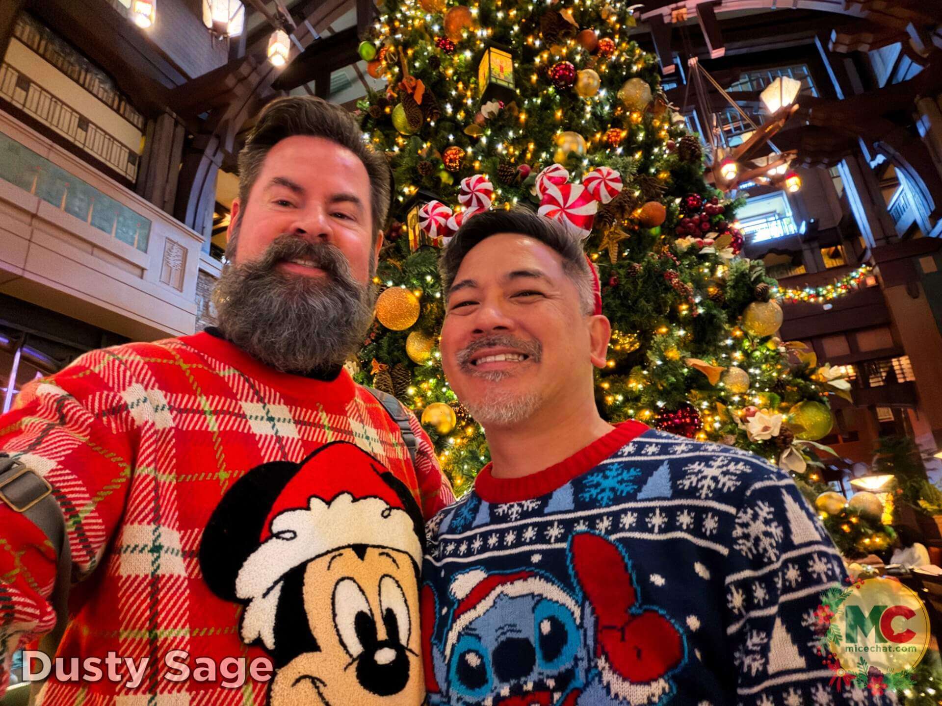 , DISNEYLAND UPDATE: Blocked Out, Rained On & What Comes Next