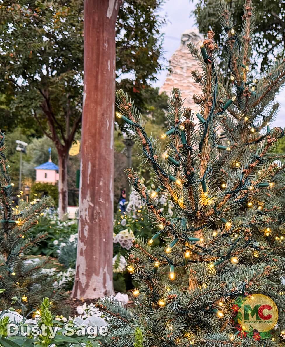 , DISNEYLAND UPDATE: Blocked Out, Rained On & What Comes Next