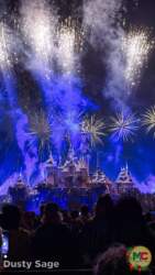 Disneyland beauty christmas castle fireworks blue 3 MiceChat